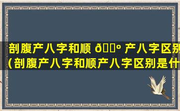 剖腹产八字和顺 🐺 产八字区别（剖腹产八字和顺产八字区别是什么）